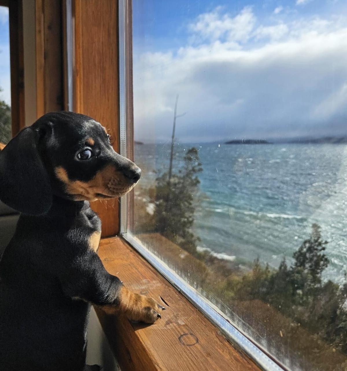 Apartamento Lake Apartments Bariloche *